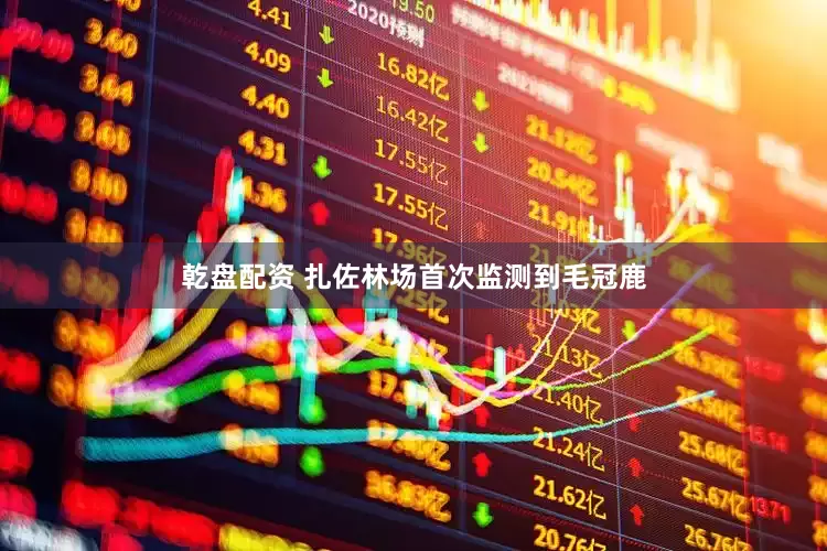 乾盘配资 扎佐林场首次监测到毛冠鹿